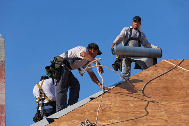 Best Roof Leak Repair  in Bayou Lourse, LA