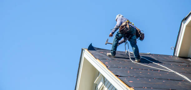 Professional Roofing Contractor in Bayou Lourse, LA